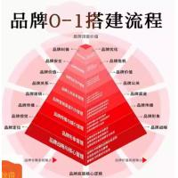 品牌搭建流程 品牌定位全案运营新模式品牌营销SOP设计策划方法